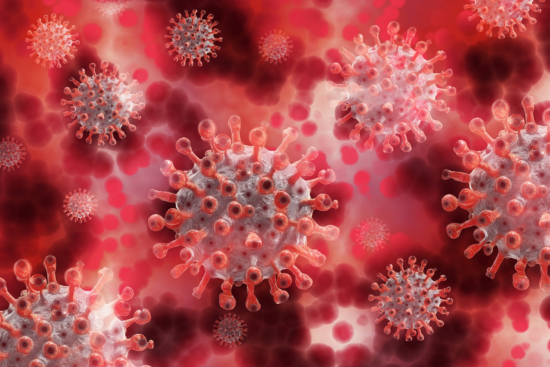 Lutte contre le coronavirus – mise à jour de la plateforme visant à soutenir les chercheurs et les inventeurs